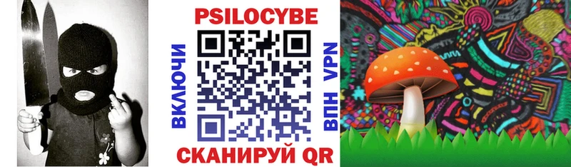 это как зайти  Муром  Псилоцибиновые грибы Cubensis 